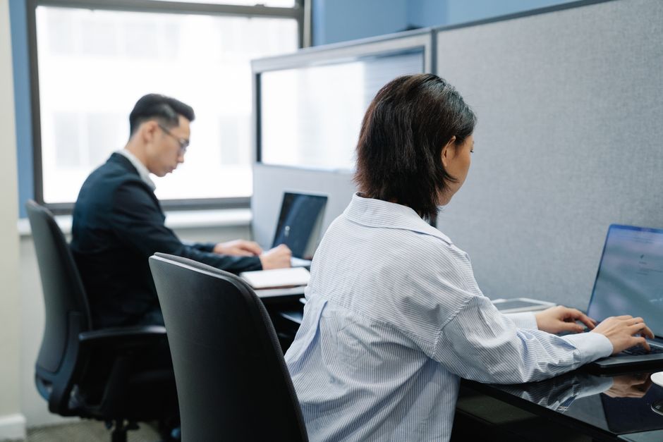 professional-using-laptop-office